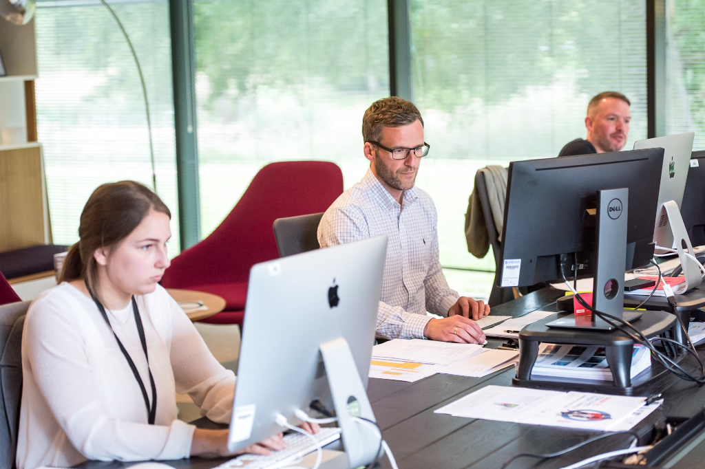 Employees at an ERP company